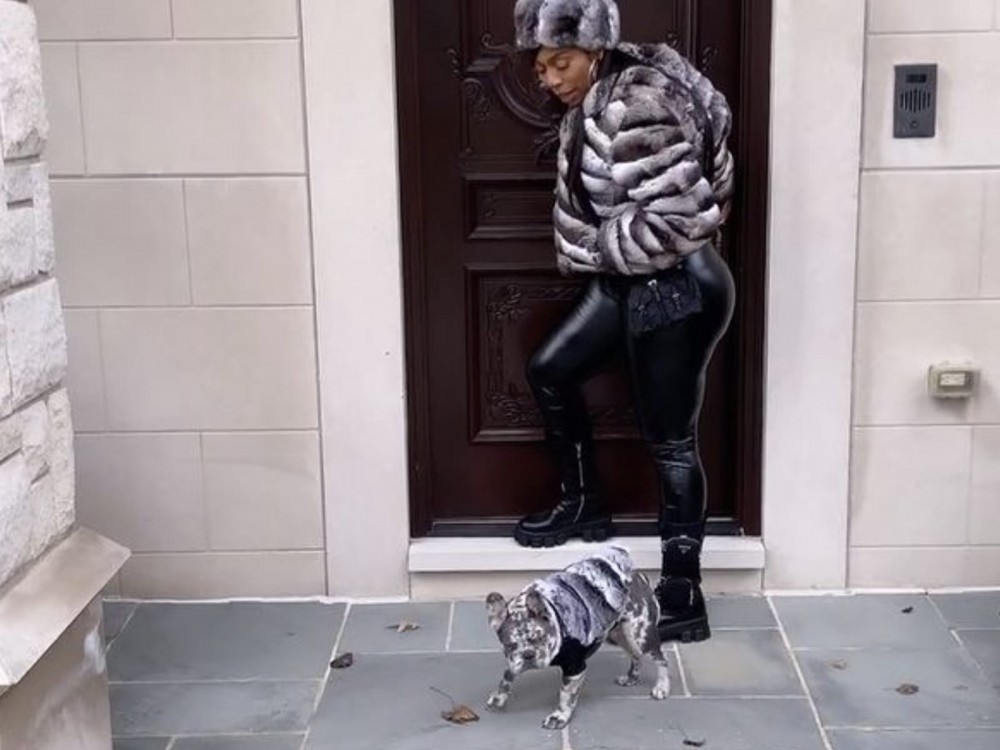 Here's 5 Furry Moments Between KD + Her Puppy Kash Doll