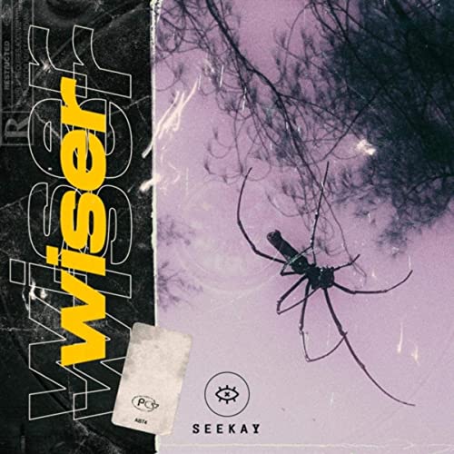 Seekay’s “Wiser” Is A Must-Have On Your 2021 Playlists