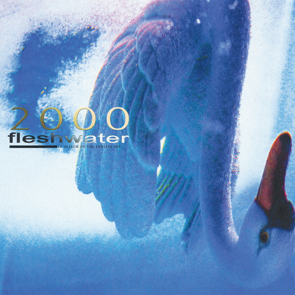 3 New Albums You Need: james K, Fleshwater, and more