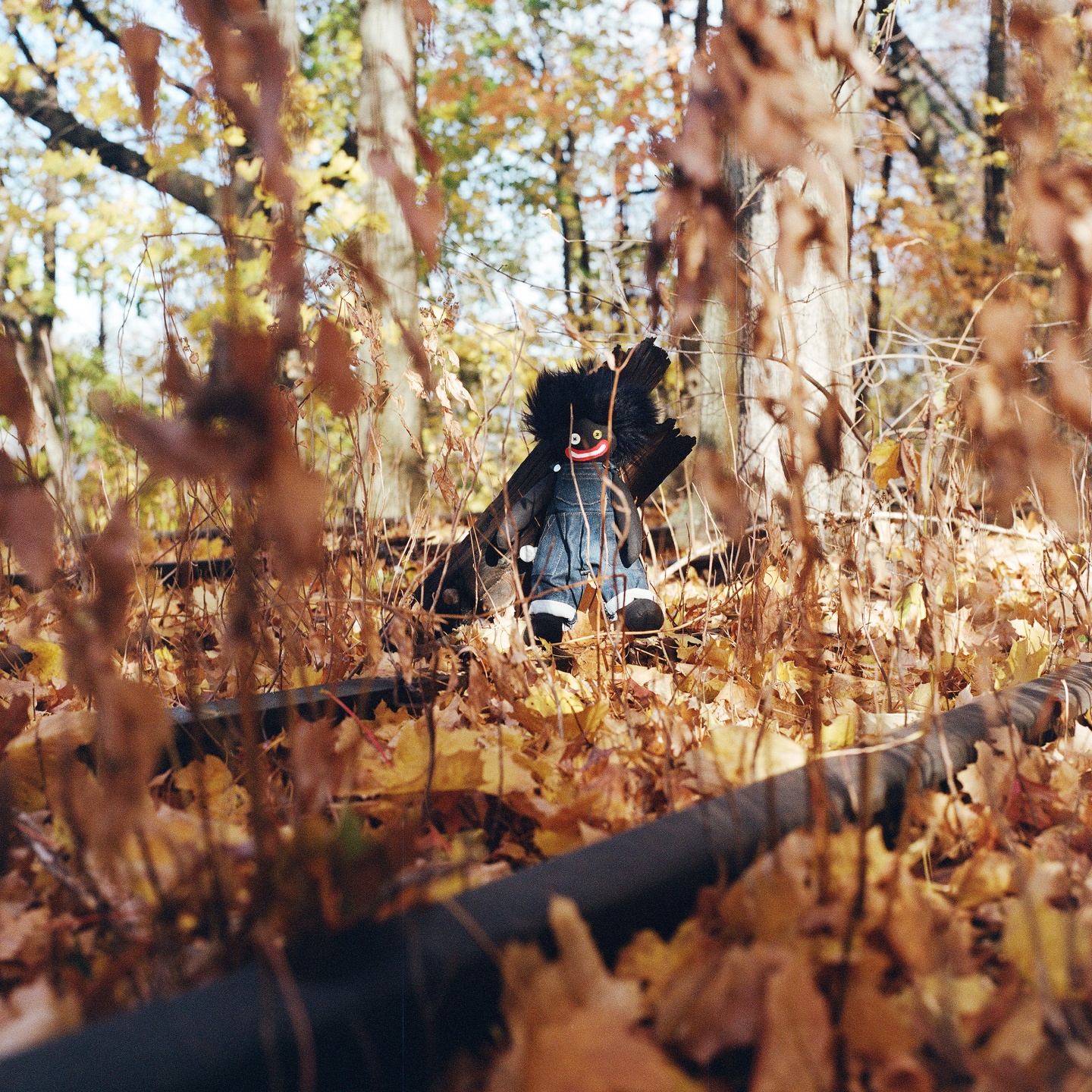 The 50 best albums of 2025