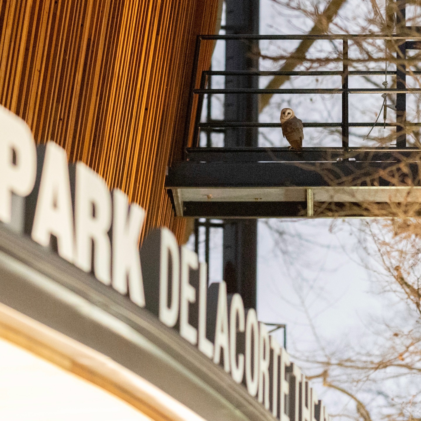 These photos capture the secret lives of New York City’s wildlife